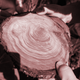 USGS researchers examine tree rings for anomalies.